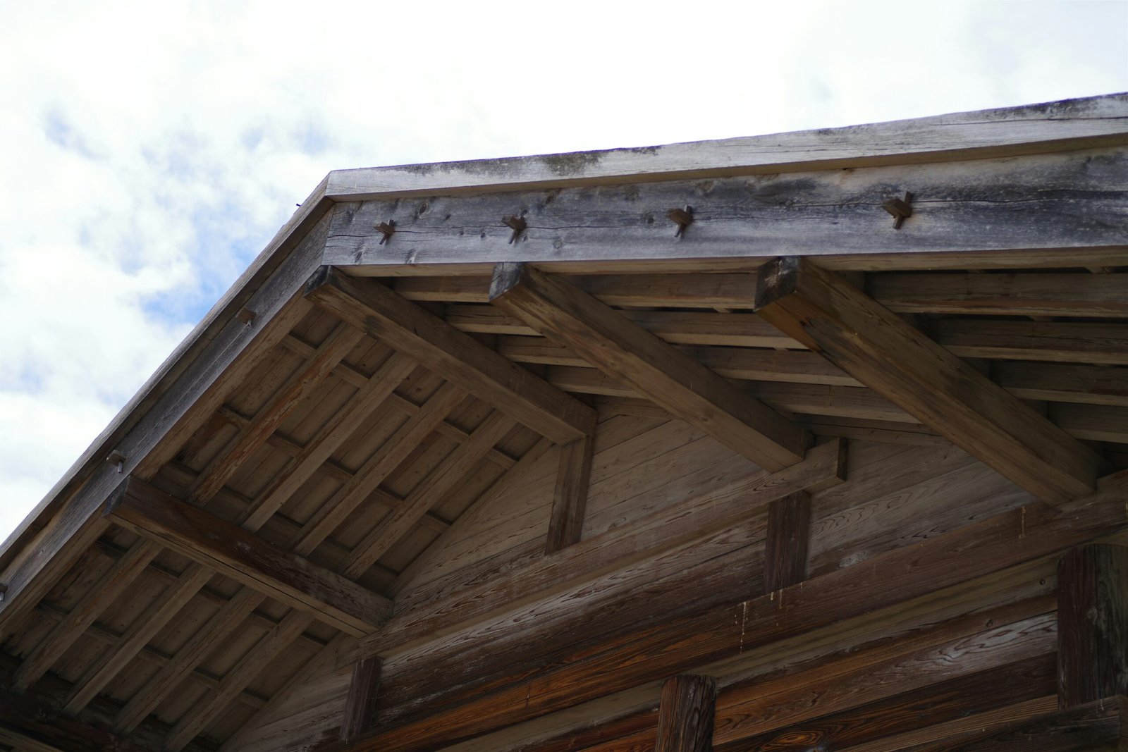 traitement bois extérieur préventif et curatif