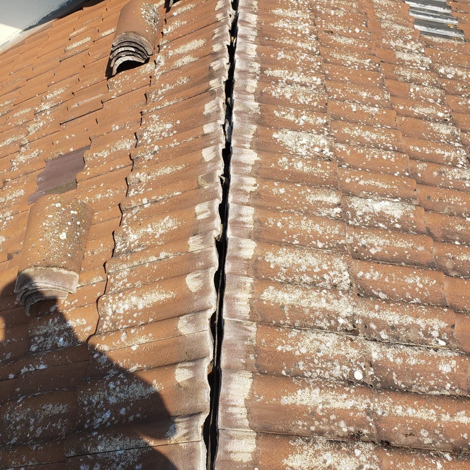 diagnostic professionnel pour réparation toiture